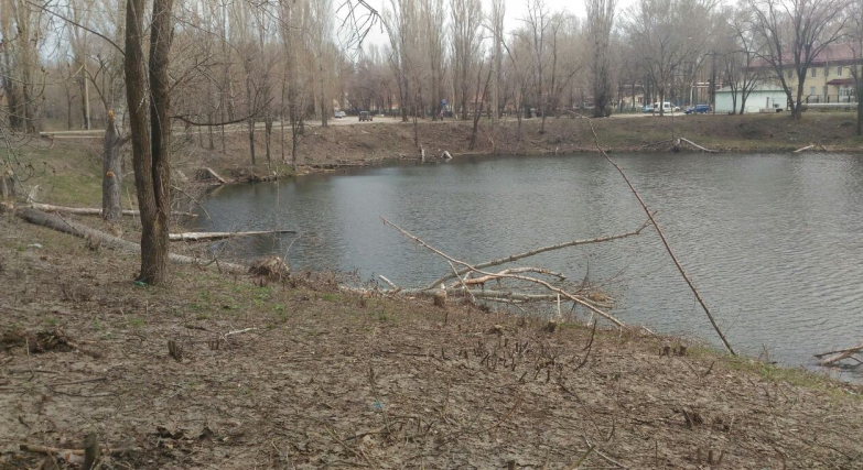 На фото видны те самые поваленные деревья.