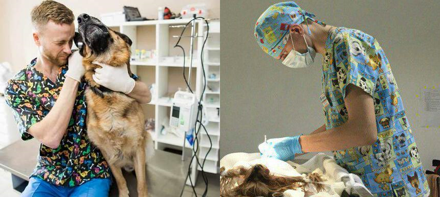 Спектр работ ветеринарного врача в клинике. 
Слева - проведение отоскопии у собаки / Справа - хирургическое лечение