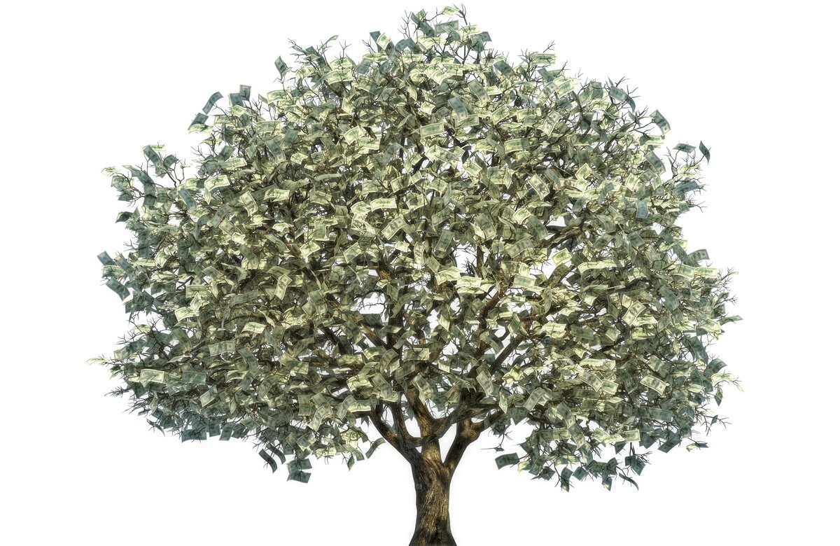 Если бы деньги росли на деревьях, я бы стал бы садовником...