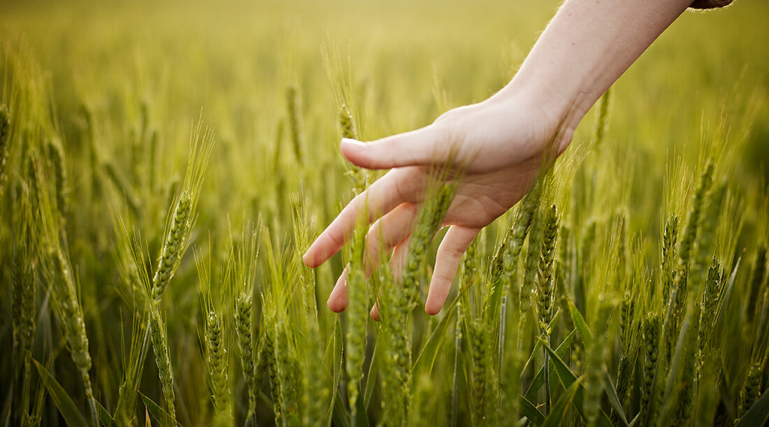 Фото: gettyimages.ru