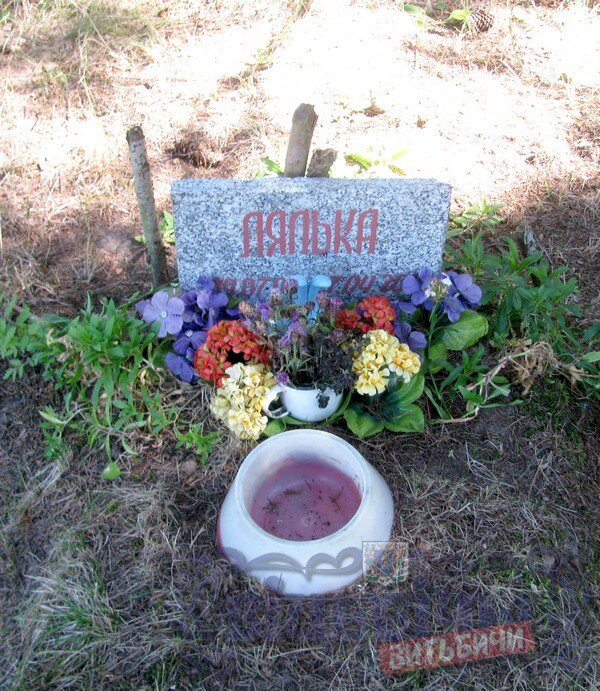 Захоронение домашних животных. Могилки домашних животных. Кладбище домашних животных. Хоронят ли животных. Кладбище животных в москве.