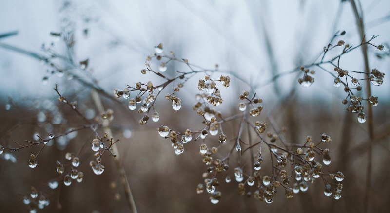 фото из интернета