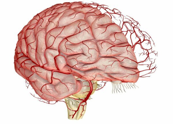 Иллюстрация: multiurok.ru