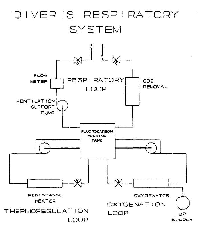Принципиальная схема аппарата для жидкостного дыхания из магистерской диссертации 1989 года

Frederick Morgen Andrew