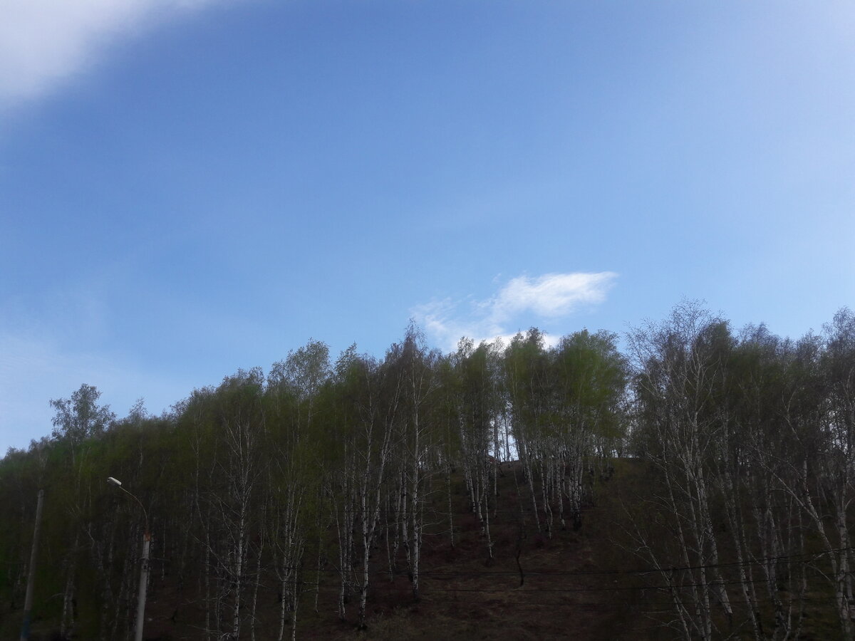 Открыв окно однажды утром, я вдохнул свежий воздух после дождя и понял - есть еще очень много прекрасного в этом мире