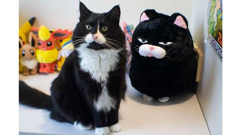 Источник: Beka SmythИсточник: Beka Smyth