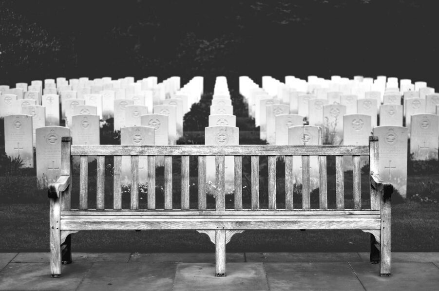 фото взято с сайта : www.freeqration.com