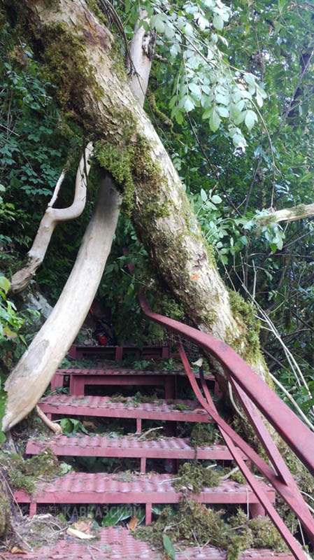 Фото: пресс-служба Кавказского биосферного заповедника