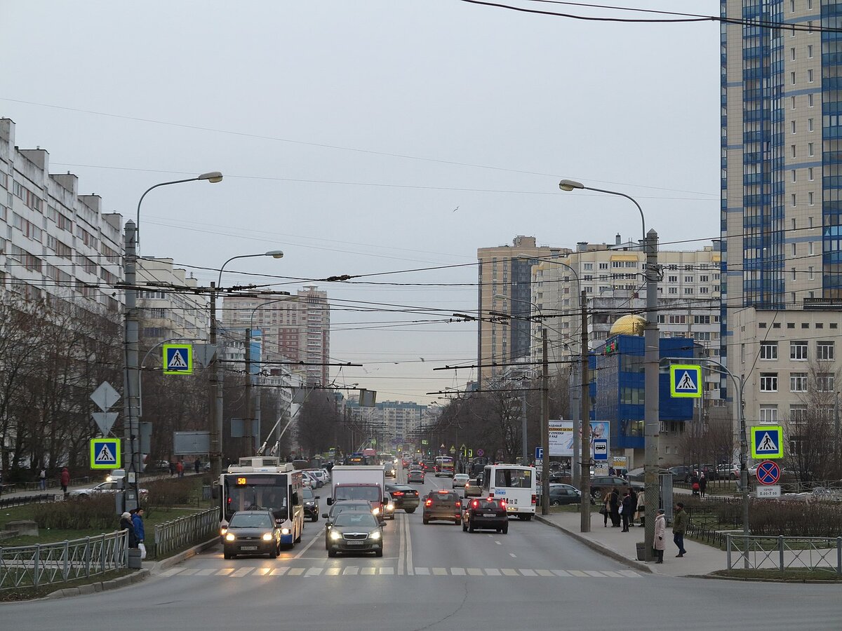 Ровно вся первая половина проспекта Королева. Как на ладони.