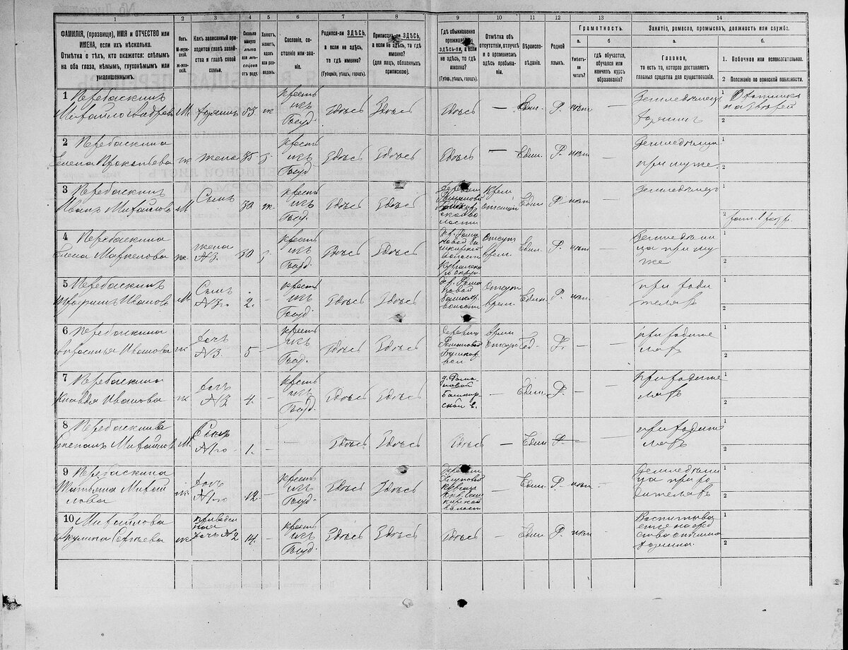 переписной лист переписи 1897 года. листы переписи населения 1897. переписной лист 1897 года. перепись населения 1897 рязанская губерния данковский уезд. переписной лист переписи 1897 года.