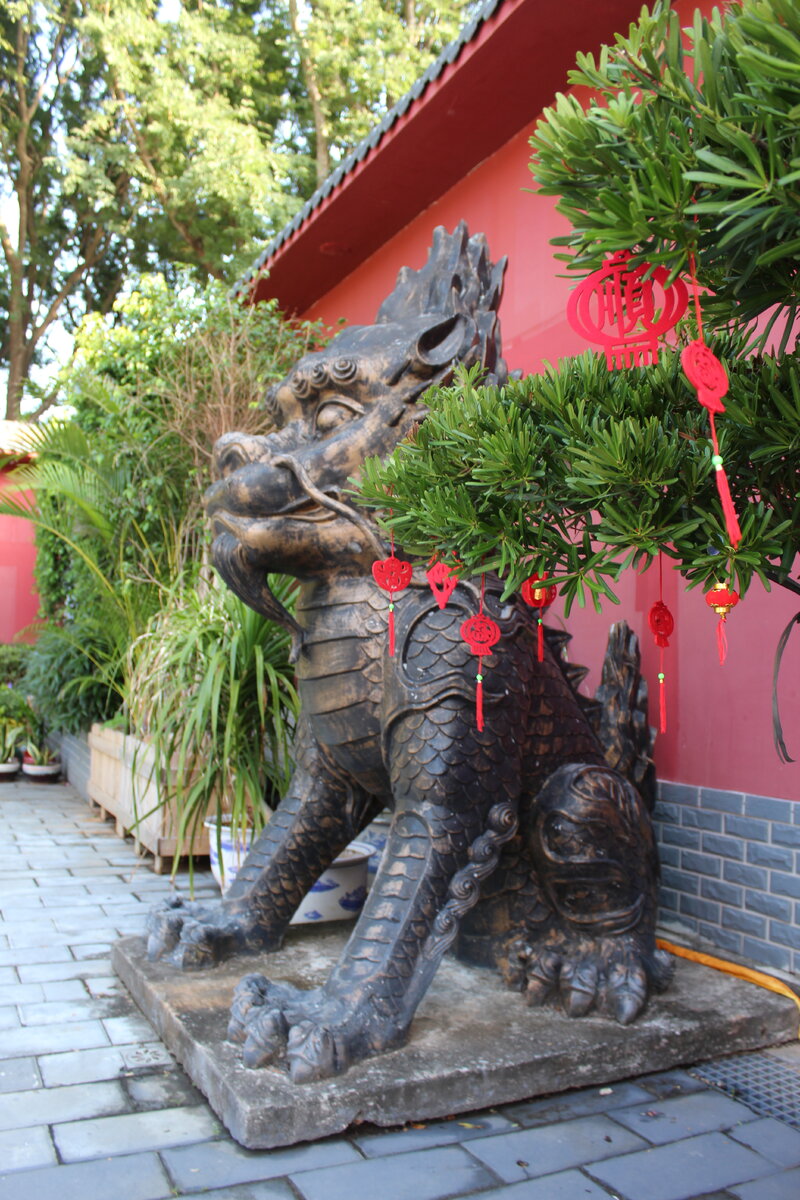 Остров Хайнань. Китай. Предновогодье по восточному календарю.