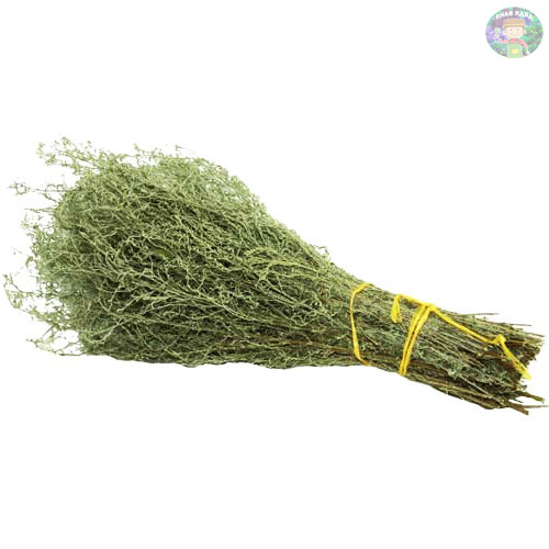 Веник из полыни