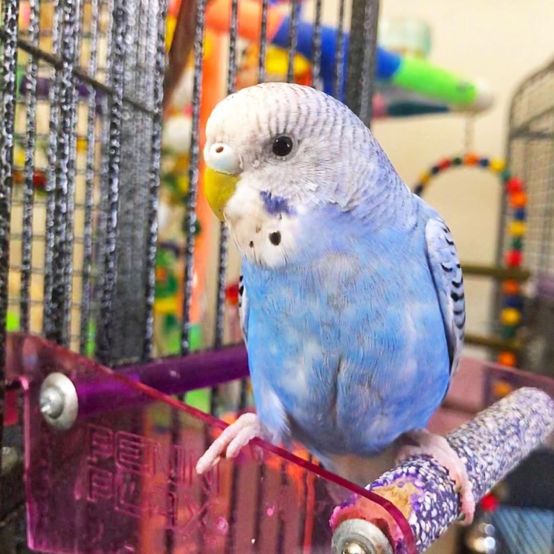 Источник фото: instagyou.xyz