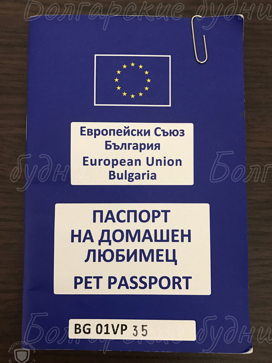 Паспорт Марти)