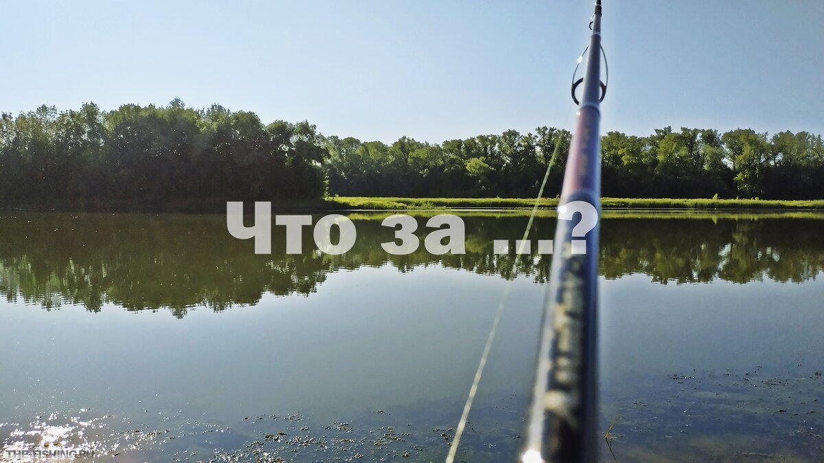 На рыбалке со спиннингом