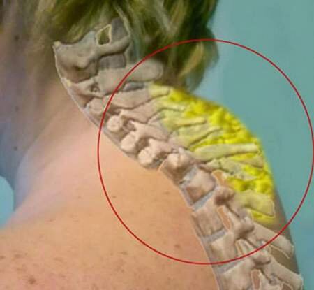 "Пирог" в самом деле неаппетитный