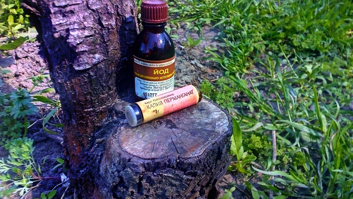 (знаю что многим нравится этот пенечек:)) )