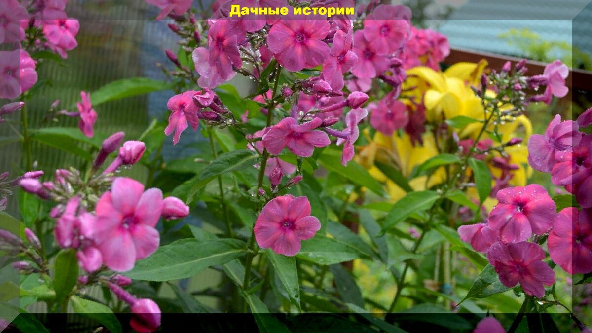 https://vk.com/photo-159774511_457242277