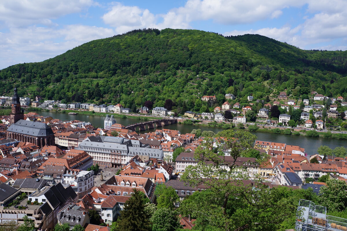 Недвижимость и бизнес в Германии.