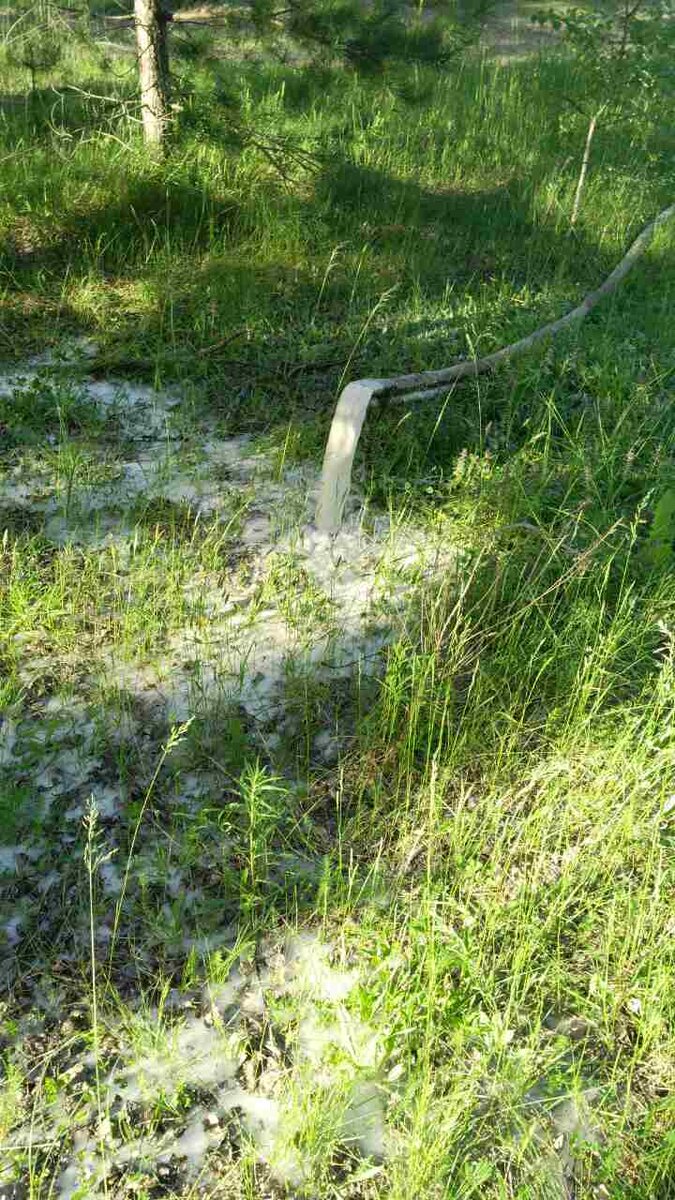 Бурение на воду и гарантия питьевого качества воды | Бурение на воду | Дзен