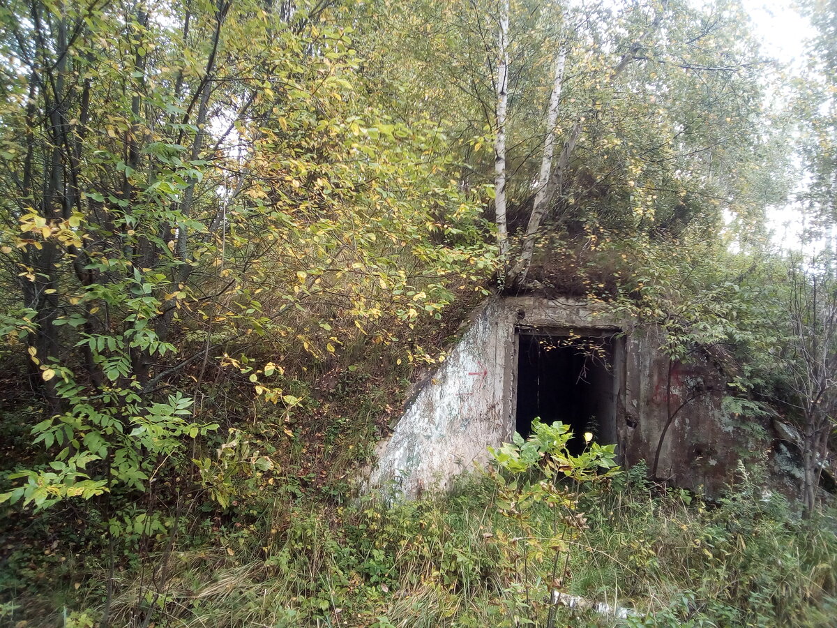 Старый бункер в лесу