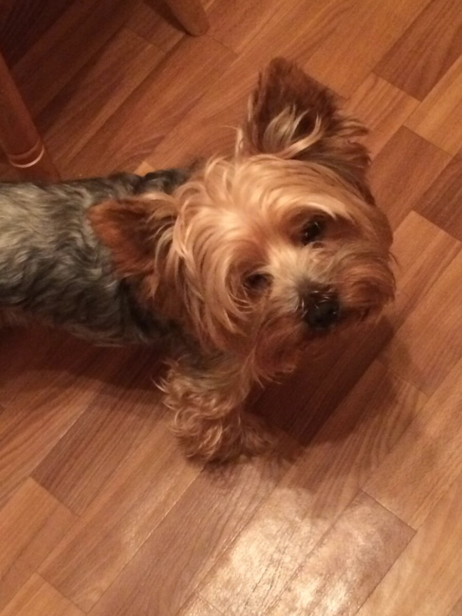 Фото из личного архива