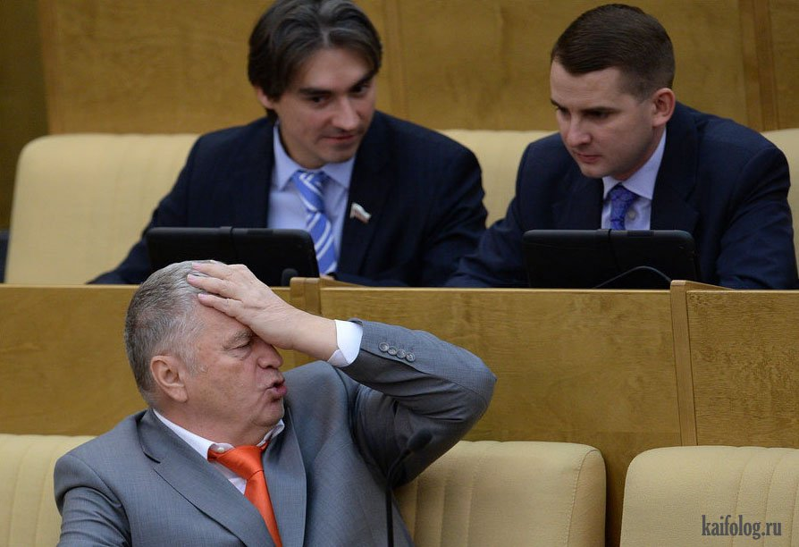 Жириновский на первом заседании. Источник: kaifolog.ru