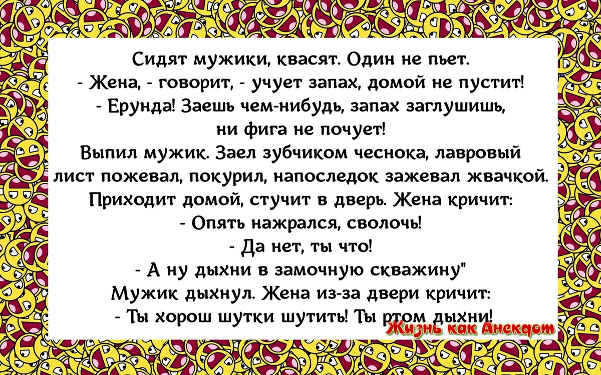 Жизнь как Анекдот
