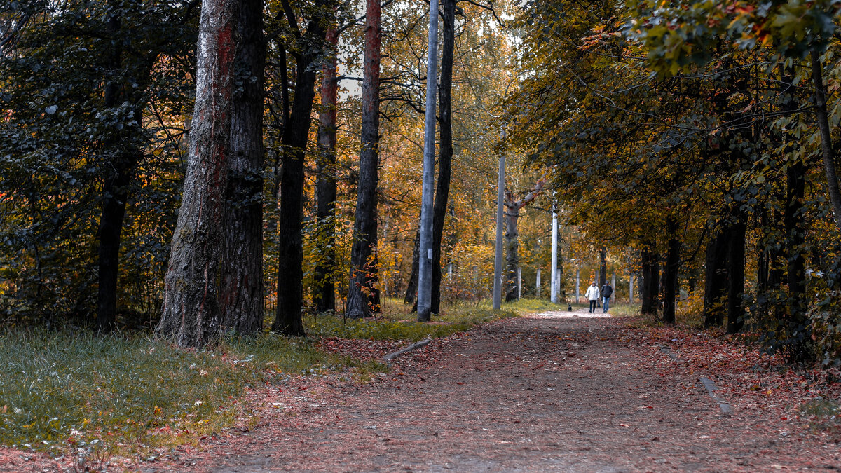 В Монино все в шаговой доступности. Город тихий, маленький, даже кукольный. Его можно обойти буквально за пару часов.