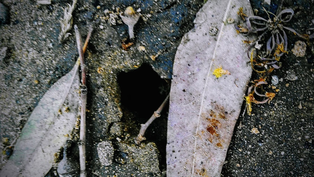 (Берег озера. Ришон-ле-Цион.)