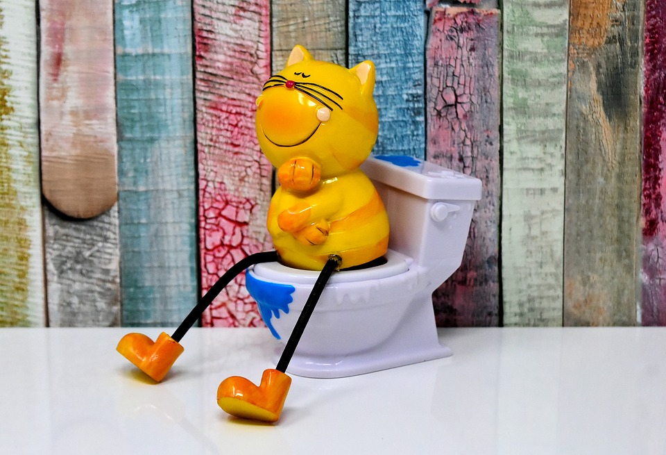 https://pixabay.com/photos/litter-box-toilet-cat-figure-loo-3298240/