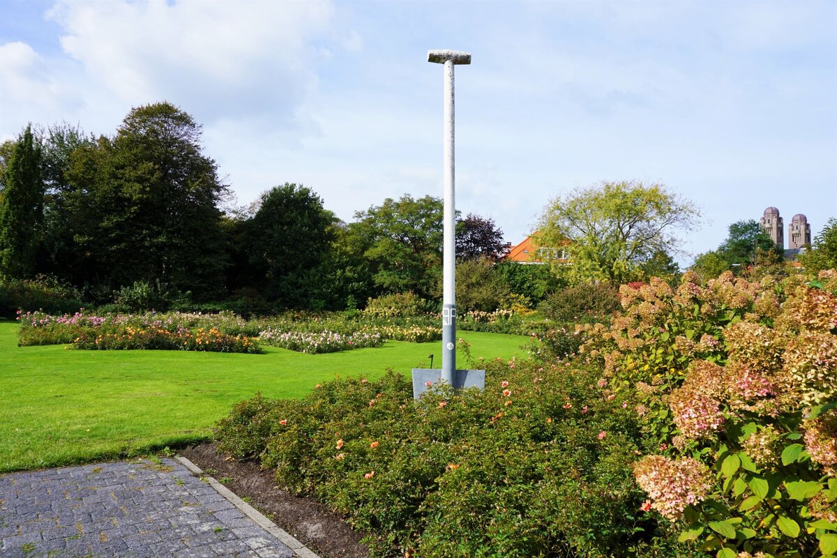 Фото автора, сделаны в октябре.