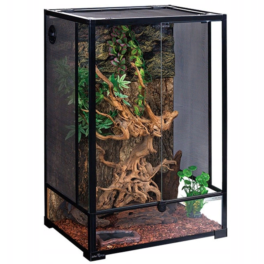 Как приготовить домашний террариум 