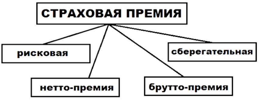 Что такое страховая премия по договору