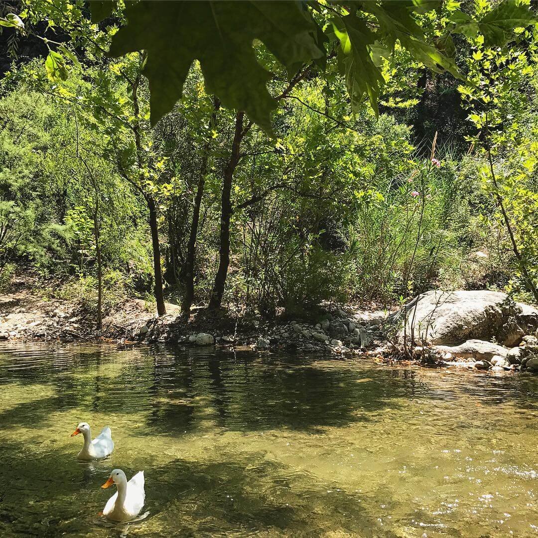 Итак, рыбная ловля на пресных водоемах, в большинстве случаев подразумевает под собой рыбалку на форель в окрестностях Кемера. Можно найти и ловлю рыбы в озере, но это не самый популярный тур, если сравнивать его с названным выше.