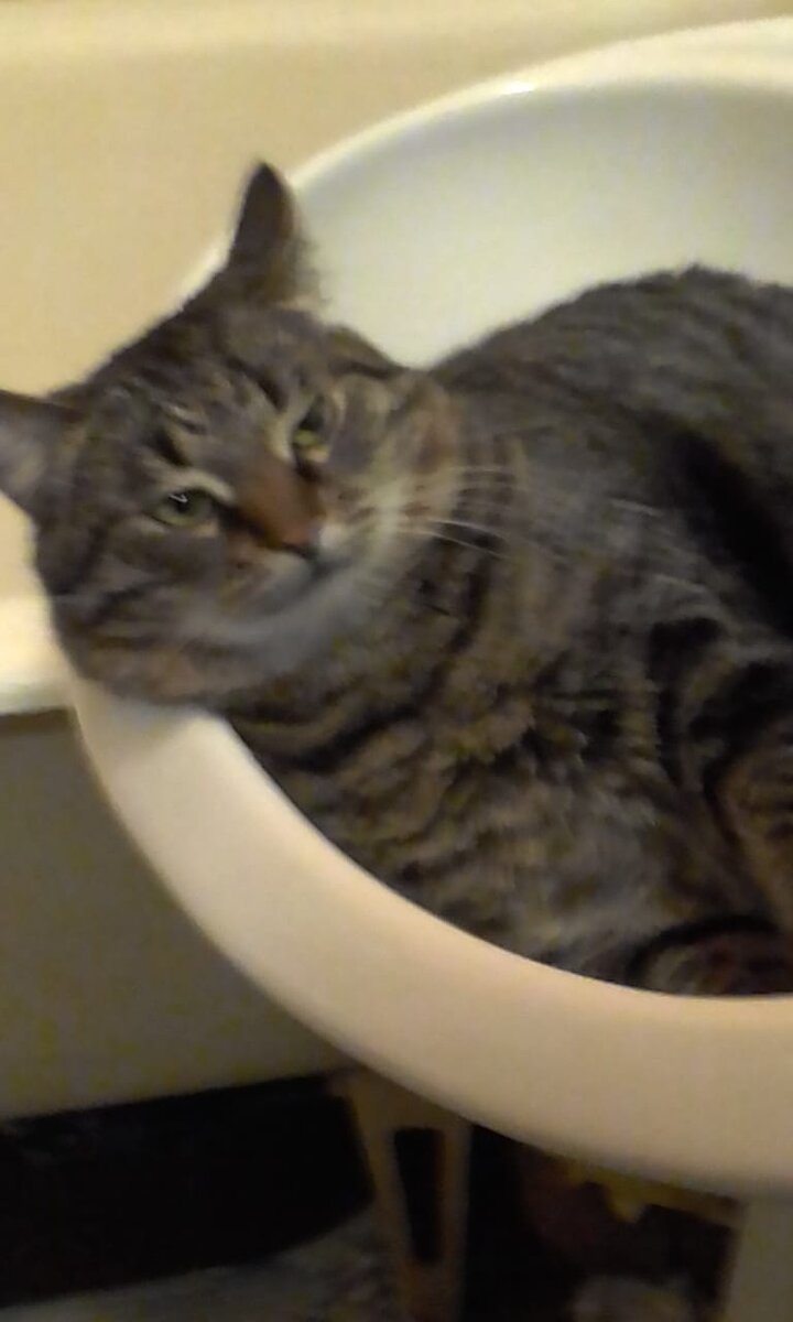 Внезапно стало тепло, спасёт холодная раковина в ванной