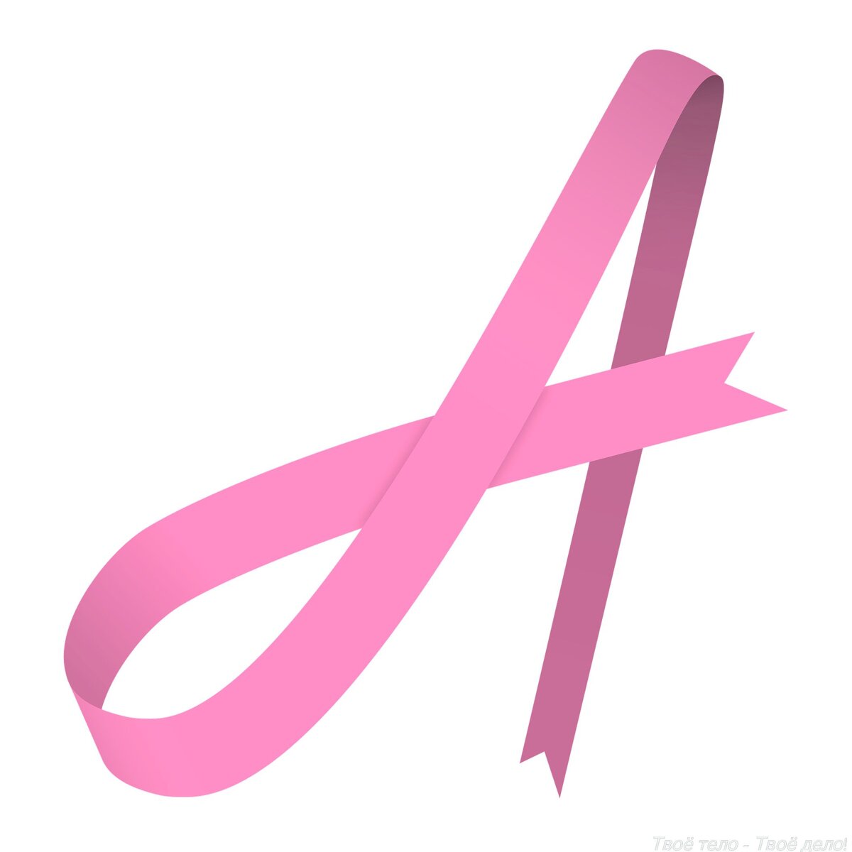 Изображение с сайта Pixabay