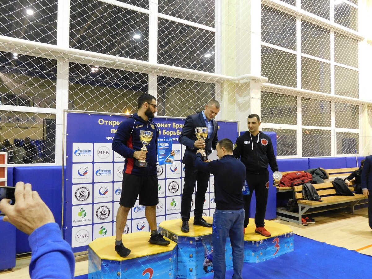 день единоборств