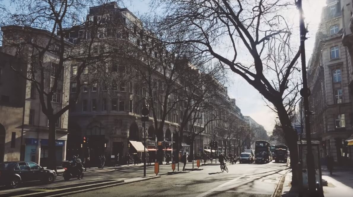 Головоломка - найдите собаку