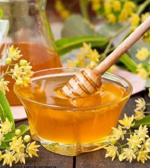 изображение взято из интернета