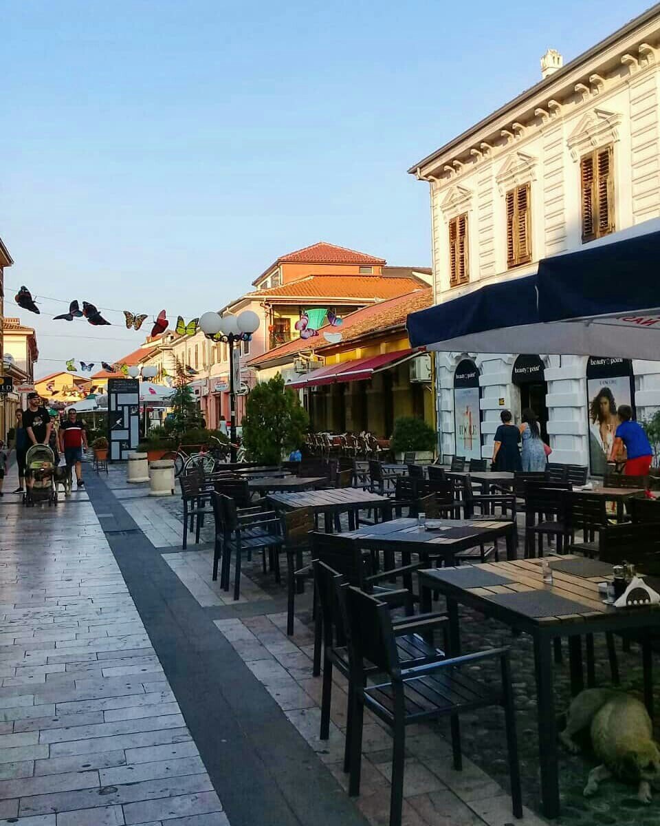 Шкодер 