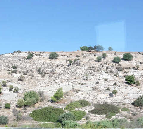 Вид из окна автобуса по дороге в Полис