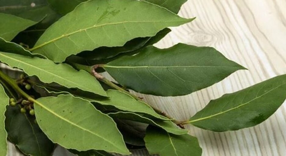 лечение экземы народными средствами