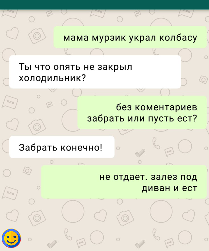 Смешные переписки детей с родителями. №2