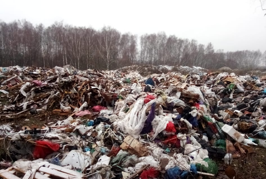 Так свалка выглядит сегодня, её не успели утрамбовать. Фото: Павел Прошкин