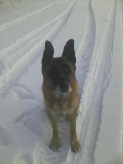 Гуляем вдалеке от  помоек и собак. Зима 2017-2018. 