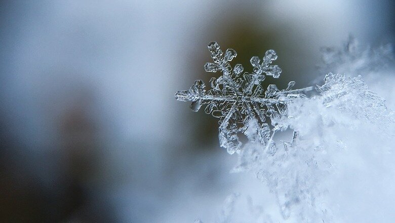  Фото: pixabay.com 