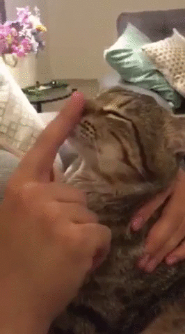 -9