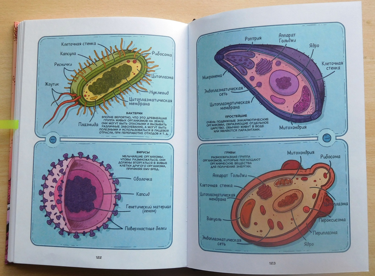 Книги про вирусы. Детская книга про микробов. Книга для детей про микроорганизмы. Бактерии книга для детей. Бактерии энциклопедия.