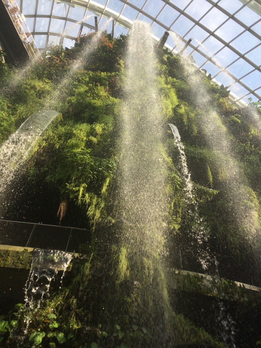 Ботанический сад Сингапура (Singapore Botanic Gardens)